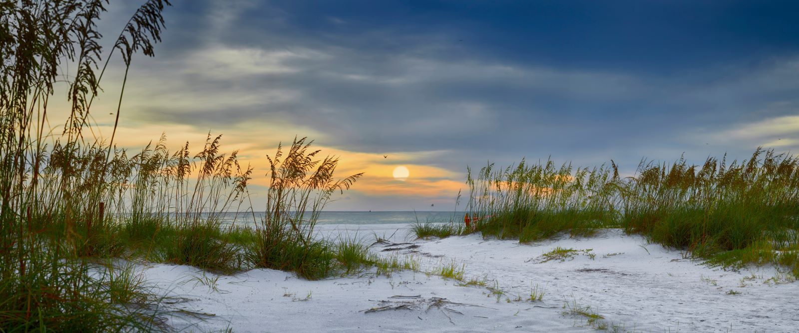 Manatee public beach