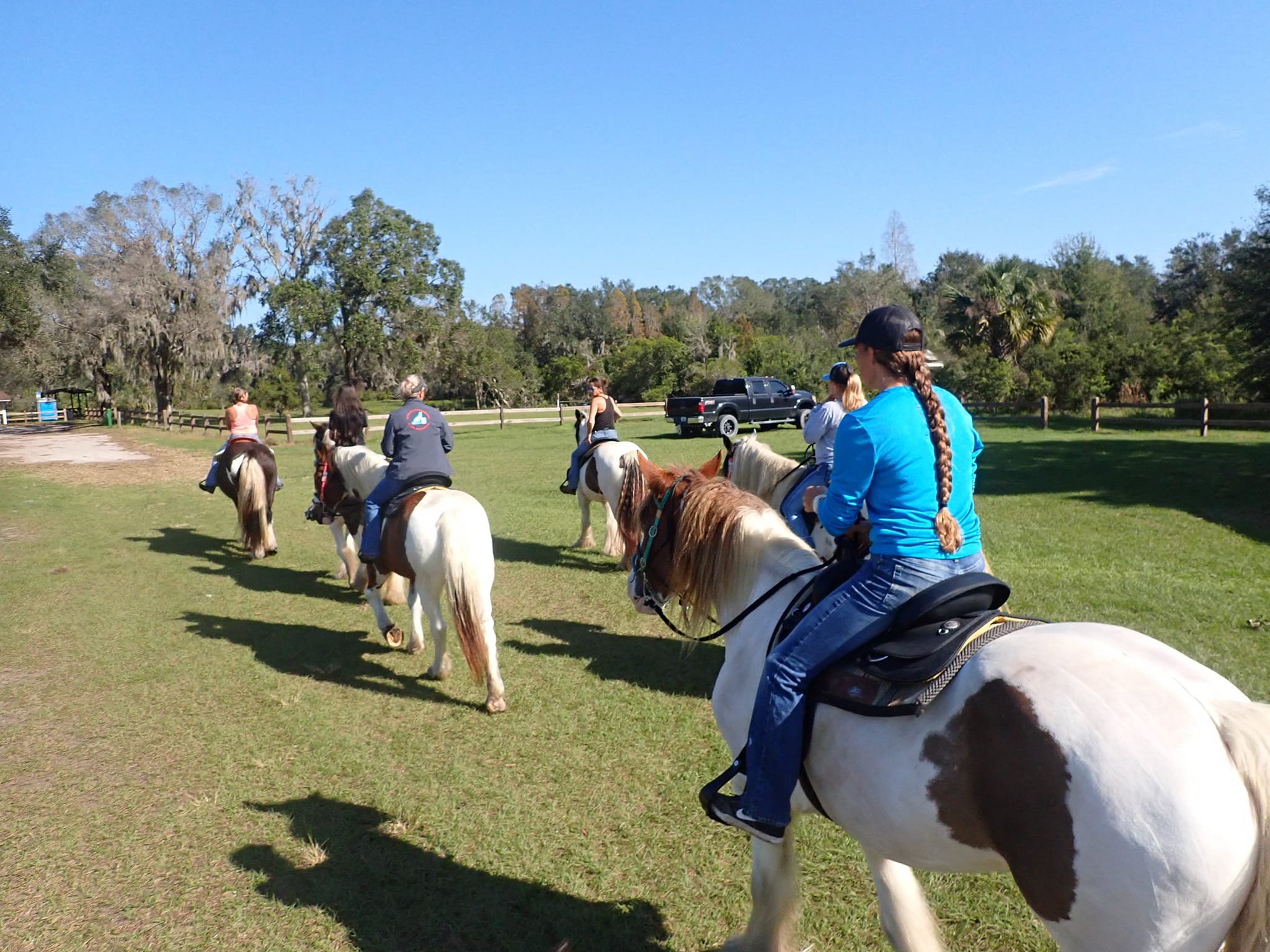 C ponies - Bradenton